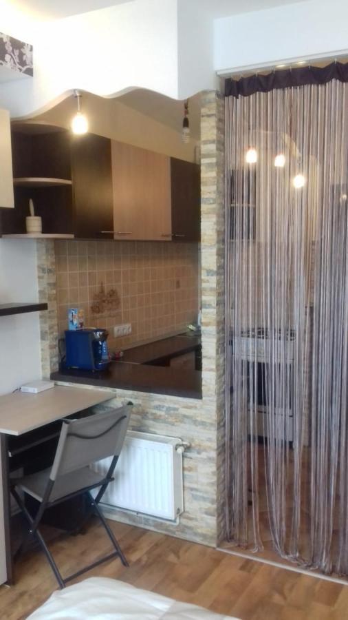 Apartament Alexandra 'S Studio Braszów Zewnętrze zdjęcie