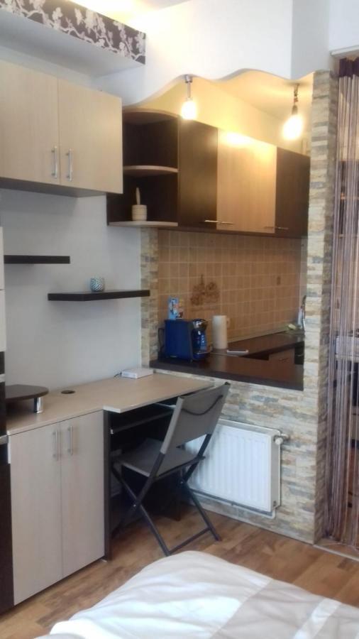 Apartament Alexandra 'S Studio Braszów Zewnętrze zdjęcie